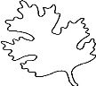 Розмальовки Контури листя дерев, Раскраски детские.